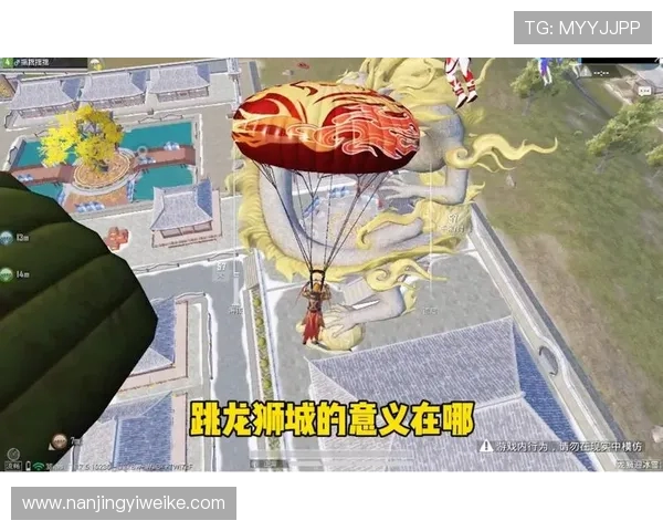 专访李芳揭秘和平精英成功背后的策略与创新之路