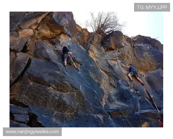 南京攀岩队的成长历程与极限运动世界杯的辉煌征程