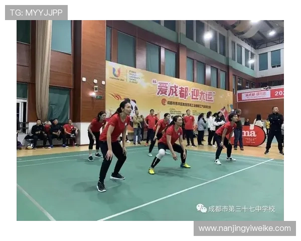 成都排球队在全国排球团队协作排行榜中荣获第九名的佳绩分析
